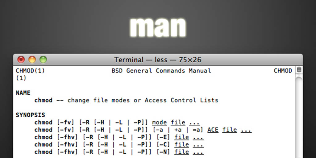Feed one for a lifetime - Learn Bash '-man' Command